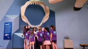 A group of field trip students in purple shirts stand underneath Finn the Megalodon