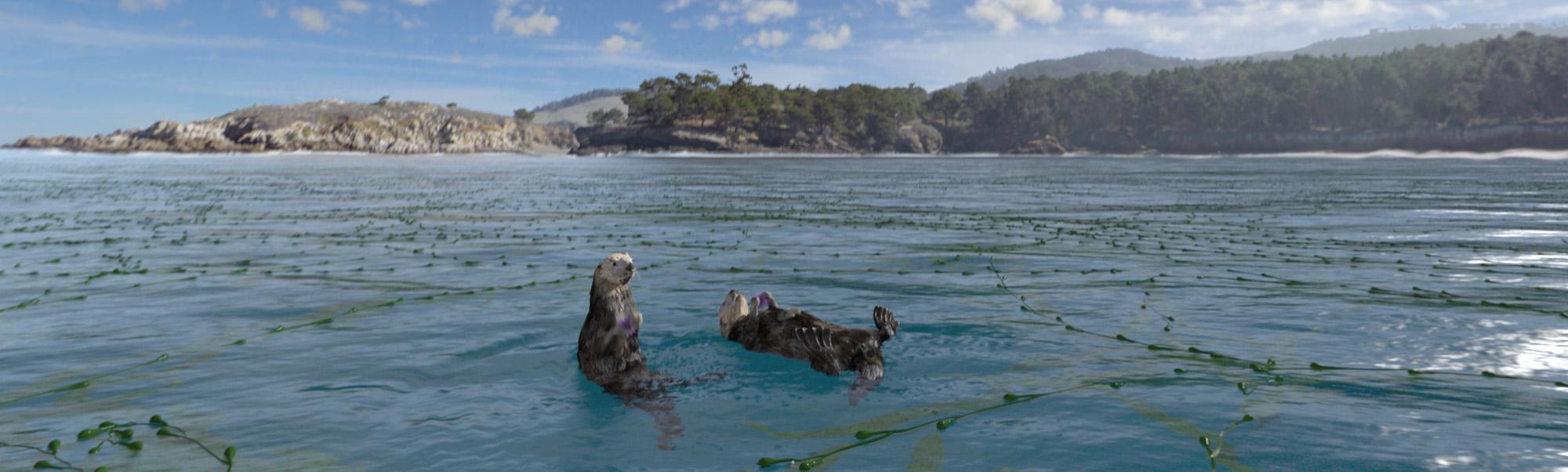 Two otters swim on their backs in bright blue water with hills in the distant background