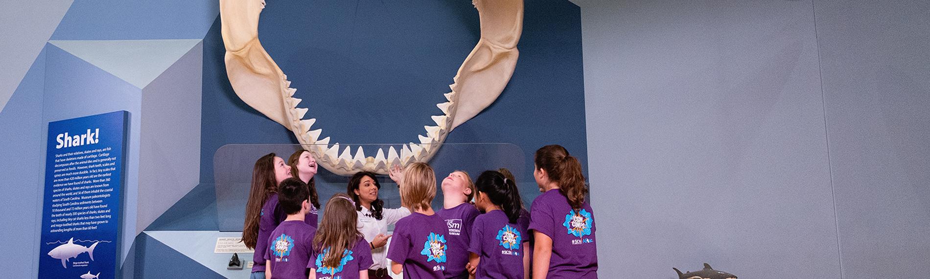 A group of field trip students in purple shirts stand underneath Finn the Megalodon