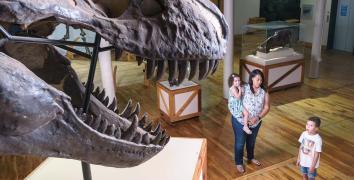 A mother holding a child looks at her son standing close by as he looks up in awe at a T-Rex skull at the South Carolina State Museum.